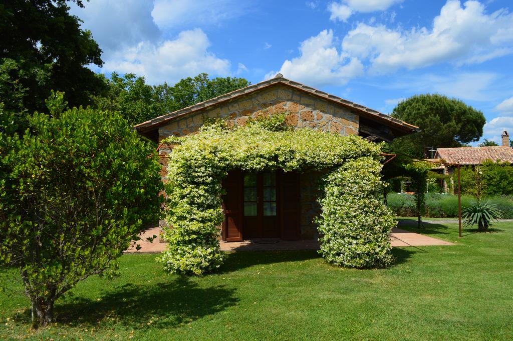 Agriturismo Eco-Bio Villa Vacasio Pitigliano Exterior photo